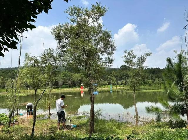 周末去哪玩?来安宁县街筲箕凹陶陶居赏景休闲