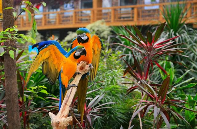 元旦去丰台，全家一键解锁冬日微度假小确幸——