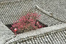 《中国魅力小城旅游研究报告》发布百座“值得去的小城”，四川占七席 小城旅游火起来图片