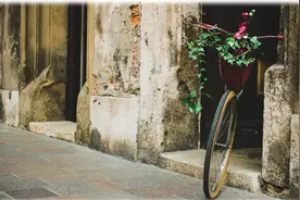 名师名家｜要陪伴，不要监督图片