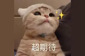广州这个车站，即将通车！将接驳这些地铁图片