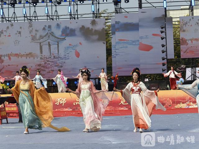 马龙樱花谷：花海人潮共绘春日盛景