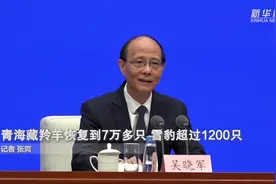 青海藏羚羊恢复到7万多只 雪豹超过1200只图片