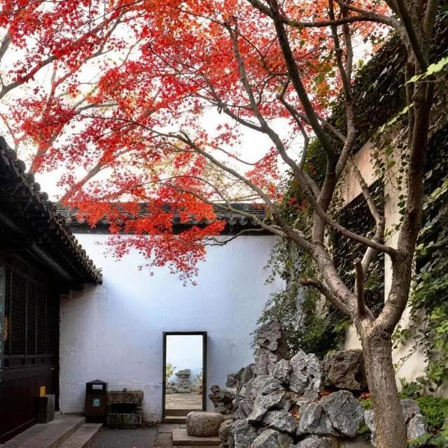 接下来，南京一大波景区迎免费开放日