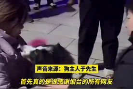 狗主人回应“重金寻狗”炒作质疑，后续将和找到狗的大哥进行款项交接并考虑收养“照顾 ”啾啾的两只流浪狗，“不会直播带货、搞营销，想回归平静生活 ”图片