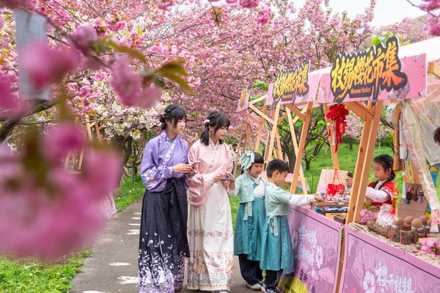 春日里的中国｜漫山樱花如云霞 山乡美景助共富