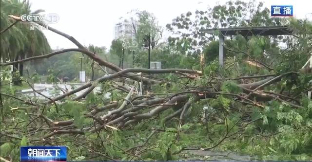 台风过后广东阳江多部门保道路畅通