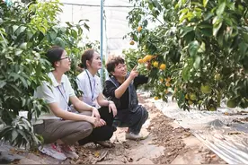 重庆等地纪检监察机关“查改治”一体推进 保障惠农资金精准落实图片