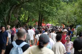大批学生涌入七星岩！不少人专程打卡→图片