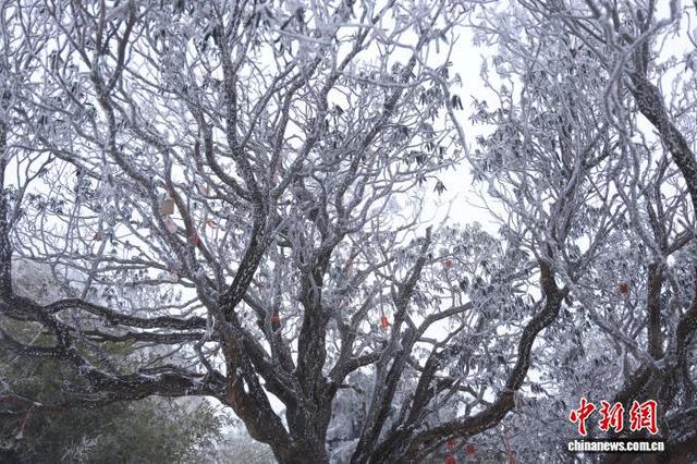 豫西落雪：白云山间银装素裹