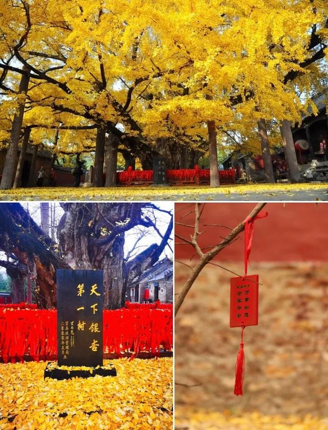 第二期优惠来了！11家热门景区！