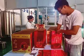 支部引领 产业兴旺——山阳县南宽坪镇探索“党支部+”联农带农新模式调查图片