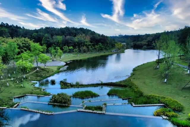 春满双流·马跃吉祥！2026年春节双流文旅全攻略来啦！快收藏