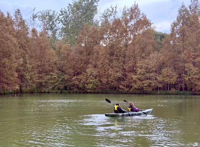 浦东秋日顶流！世纪公园“公园+”新体验，音乐、运动、义卖一站式打卡