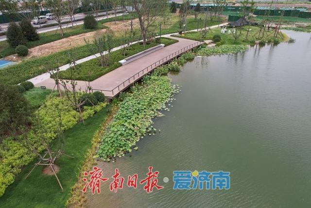 项目强省会｜生态休闲再升级，济南东站片区绿地公园向市民开放