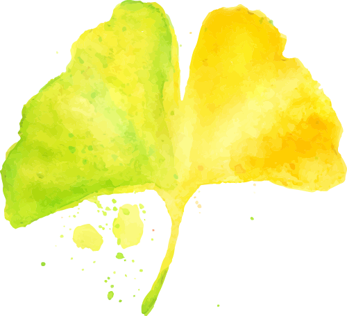 别再问了！洛阳秋色天花板，就藏在这里→