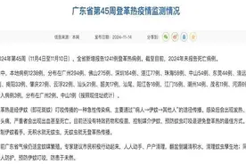 广东登革热流行拐点出现？连续三周新增报告病例数环比下降图片