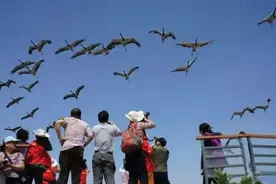 看非遗、赶海垂钓、热剧地打卡…这个假期，东营文旅好不热闹！图片