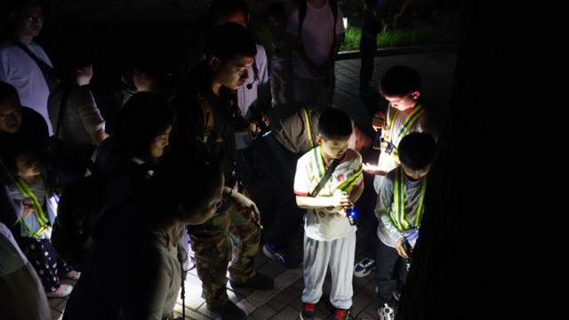“香山奇妙夜”有这些发现