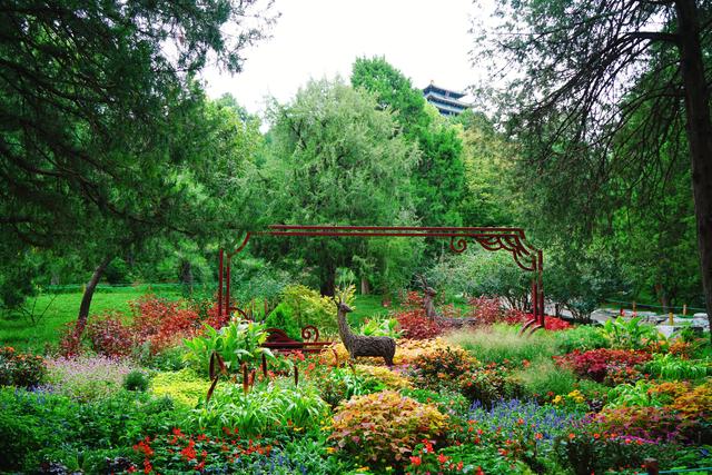 秋季赏花潮来临，北京市属公园发布40余处小而美赏秋花境