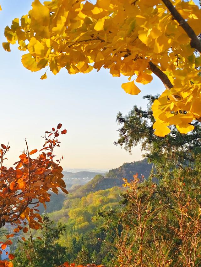 色彩缤纷，层林尽染，百望山秋景如画