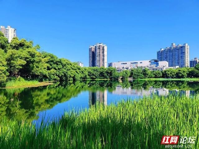 天幕如画，城市生光，这才是常德的夏天