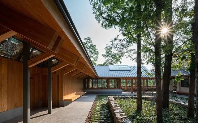 长宁家门口的“宝藏”绿道，运动赏景两不误！