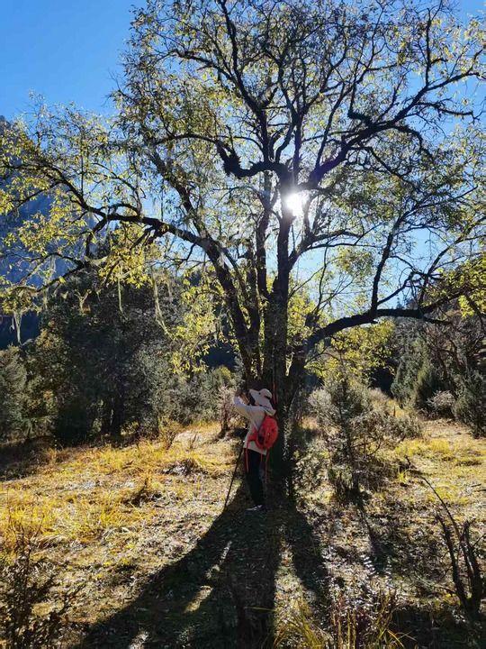 新华走笔丨赴一场与阿布吉措的徒步之约