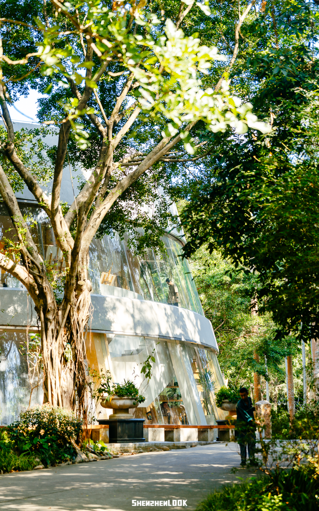 开在公园里的玻璃书房 · 深圳新安静空间