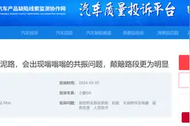 多位车主反馈小鹏G6低频共振严重 厂家称在积极跟进图片