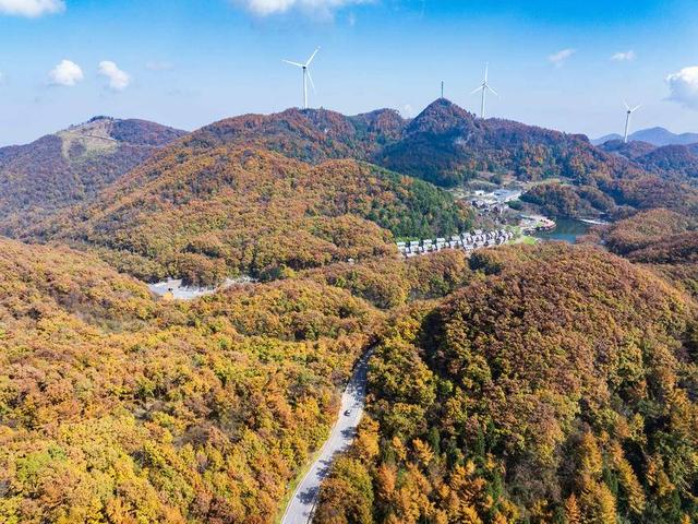 保康：彩林入画醉横冲 层林尽处听风吟