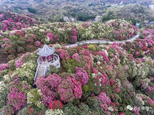 最高奖金50000元！所有人可参与