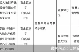 因虚列费用，大地保险长春中支高新支公司合计被罚22万元图片