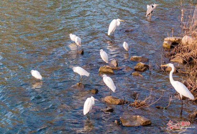 洛河岸边景美如画