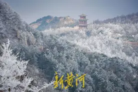 仙气飘飘！泰山出现雾凇奇观 | 新黄河镜相图片