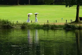 热疯了，这些地区雷阵雨赶来短暂降温图片