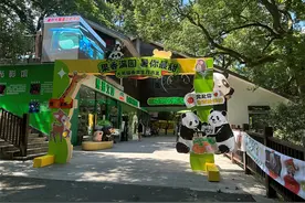 大熊猫“香果”的生日会要来啦，这场生日市集等你来参加图片