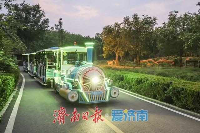 抓住暑假尾巴！济南野生动物世界日夜奇幻狂欢，甜蜜恋爱季点燃盛夏终章