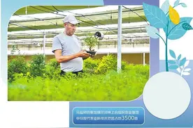 上合组织在行动｜中国—中亚不断深化务实合作图片