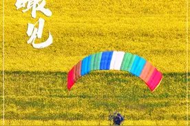 穿越花海奔赴一场春天的约会图片