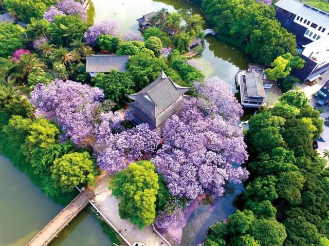 1月1日昆明见！邀您一同探寻开远幸福“密码”