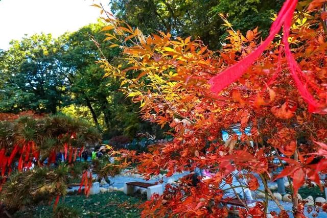 冉冉秋光色，今日又重阳！快用一场登高赏景晒一晒潮湿的心情~