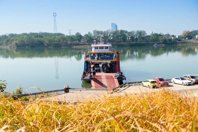 @0731，一组绿心秋色卡，请查收！