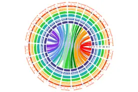人参完整基因组发布图片
