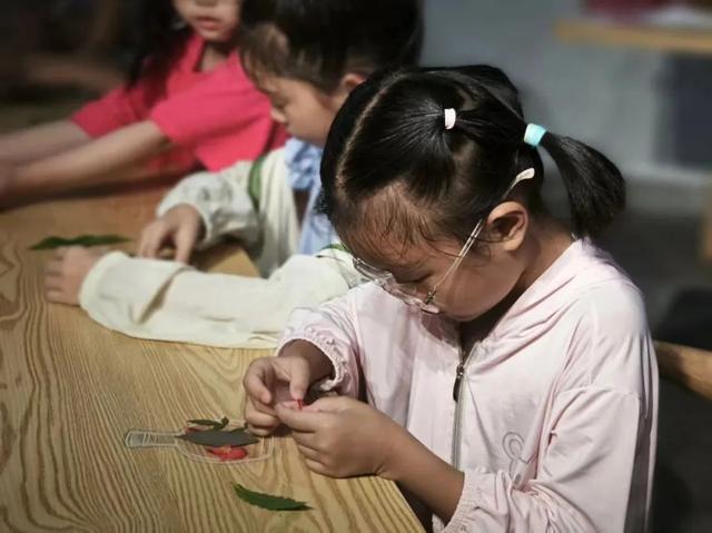 羽林探秘、绿脉解码、古树寻宝……这个暑假，亲子家庭沉浸式体验松江森林课堂