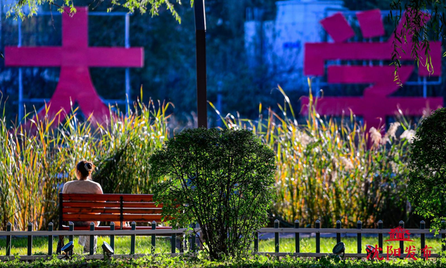 太美了！11月的沈阳，是这样的……