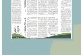 顾屋村的“感恩树”图片