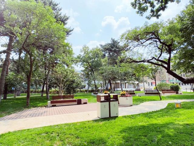 长春新民大街焕新亮相！13座口袋公园串起百年街区的绿色画卷