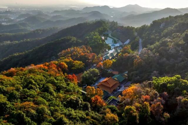 免费！特惠！江门邀你共迎十五运，景区多重福利等你来~