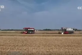 冬小麦从南到北陆续进入收获期 良种配良法绘就田野好“丰”景图片